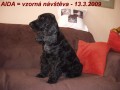 Vzor v�ech ctnost�
