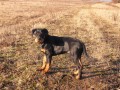 Proch�zka...