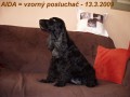 Um�m naslouchat