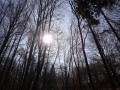 prvn� slun��ko:o)