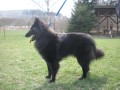 Really Black z Kov�rny