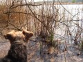Pohled na sv�t