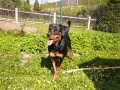 u� se i nohy motaly...
