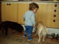 Jsme k�mo�i
