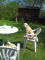Siesta p�i k�v�