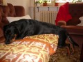 odpo�inek:o))