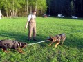 p�etahovan�