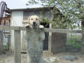 Dal�� d�kaz, �e se sm�ji