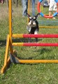 Veter�n Rob�k