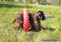 N�kter� p�ek�ky jsou nestandartn� :)
