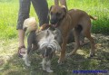 Poj� si zase hr�t...