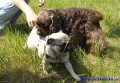 Tahle sle�na se mi obzvl᚝ l�b�