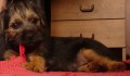 tohle �e chutn� jako jutovina ?