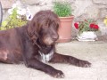 Kv�tiny a j�