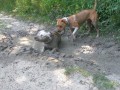 Bahen� feny....