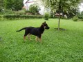 10 t�dn�