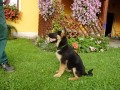 11 t�dn�