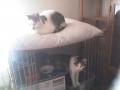 Micka a Mac�k