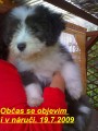 Jsem zat�m malink�