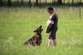 Hl�da�ka minuta