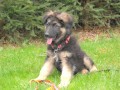 Axel-2m�s�ce