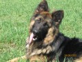 Axel-6m�s�c�