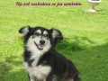 Je mi u� dob�e