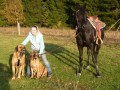 Ver�a,Gino,Acua,Risky