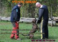 Zveme v�s
