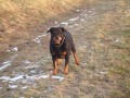 S�delnat� v o�ek�v�n�