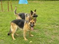 Dv� hodn� holky