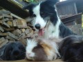 s mor�aty