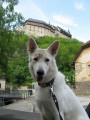 �un� na Karl�t�jn�
