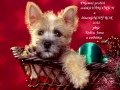 Jen to nejlep��
