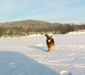 bord�ice v akci
