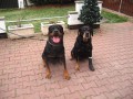 Chris a Bonu�ka