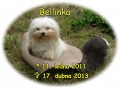 130 Bell�ek