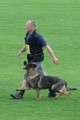 Josef Kr�l�k a Renny z Daskonu