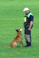 Theodor Kraj�� a Bak z Mandragory