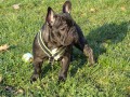Borisek - prvn� podzim.