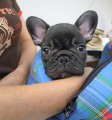Pojedu dom� - p�ijela pro m� maminka!