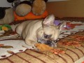 I toto p�p�tko mus� pry�!