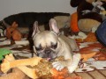 Odpo�inu si, a� toto p�p�tko vynd�m!