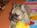 To jsem j� - Roxanka.