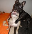 J� bych t� samou l�skou sn�dl!