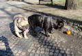 Jejda! Na�el jsem mandarinku!