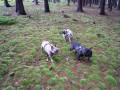 U� vid�m houbu!