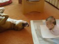 Trochu m�zl�, ale skv�l� :-)