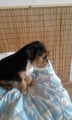 na post�lce