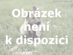 Zad�me �t��ata bobtaila